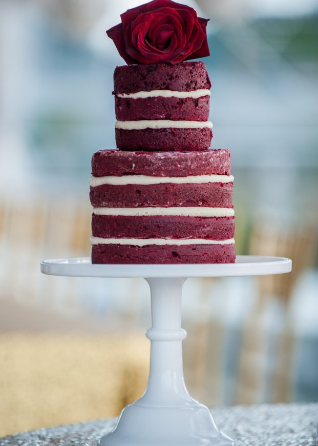 victoria-wedding-photographers-science-world-wedding-telus-world-of-science-wedding-46